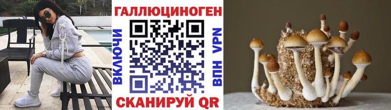 Галлюциногенные грибы прущие грибы  Комсомольск 